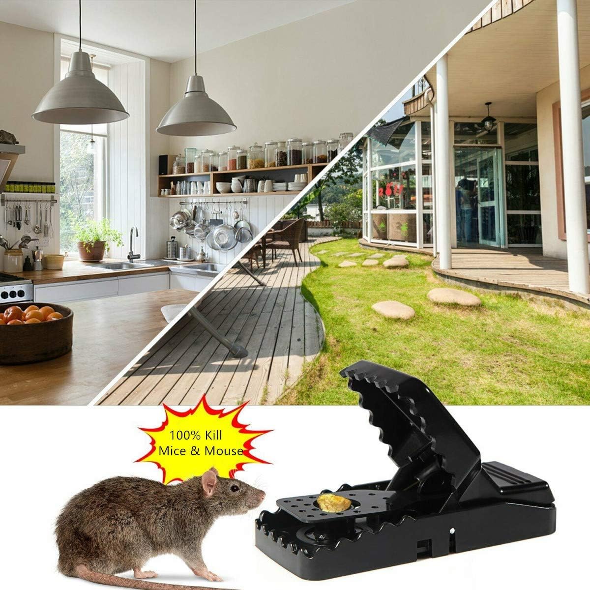Pack of 2 Universal Mouse Catchers – Reusable Indoor Rat Traps for Home Use